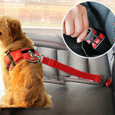 Ceinture de sécurité réglable pour chien en voiture – Laisse harnais
