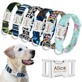 Collier nylon personnalisé avec plaque gravée pour chien et chat