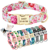 Collier nylon personnalisé avec plaque gravée pour chien et chat