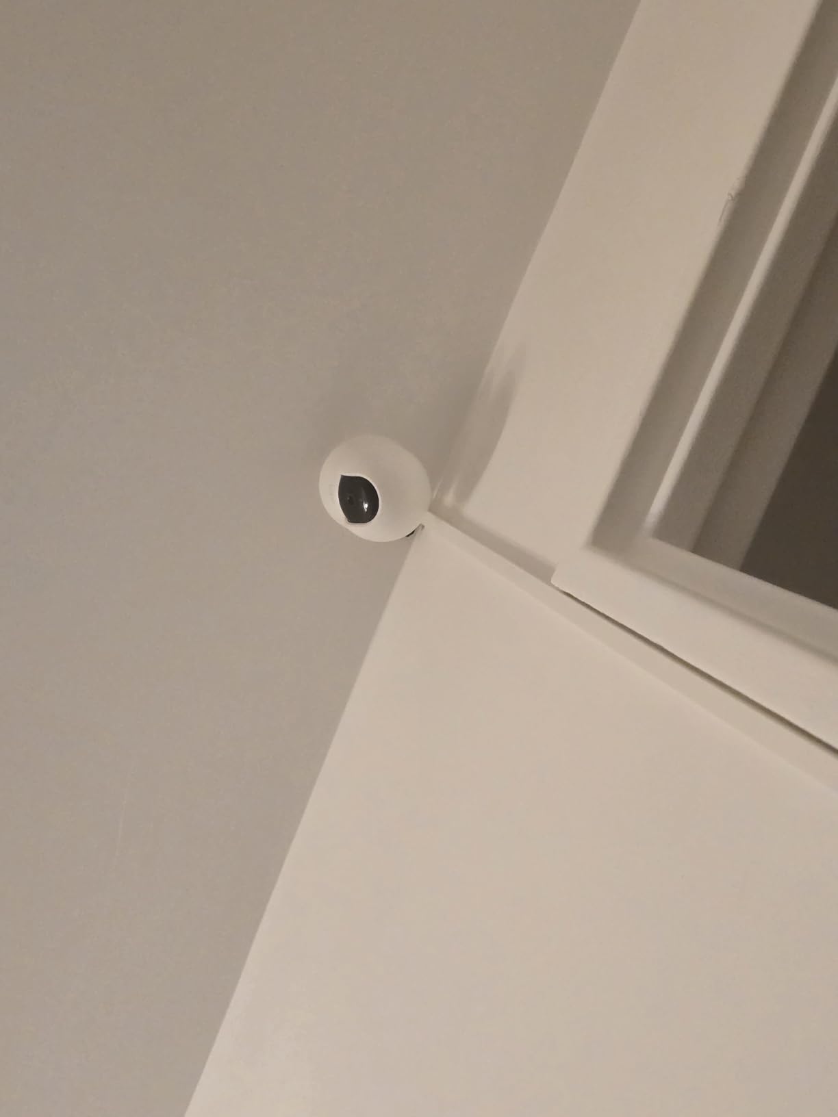 c9d889251ea22c4cfb19b7bfd3f96821