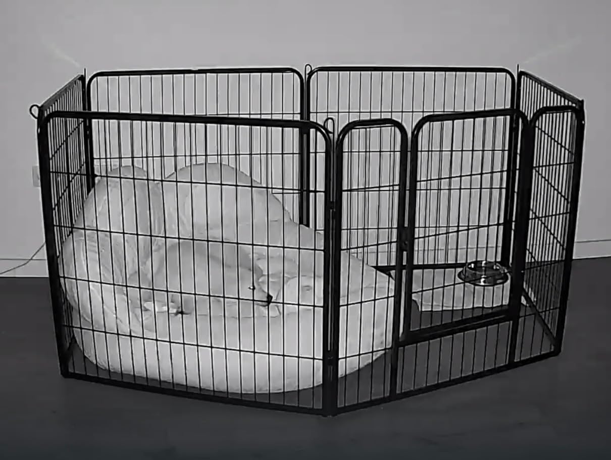 e4bd2eeb758b471fc642a55f04de254f