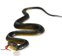 Serpent en caoutchouc réaliste de 45 cm, simulation d'anaconda, effrayant pour Halloween, pour effrayer les oiseaux, accessoires de farce, jouet de blague