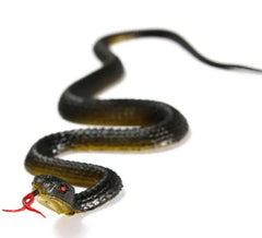 Serpent en caoutchouc réaliste de 45 cm, simulation d'anaconda, effrayant pour Halloween, pour effrayer les oiseaux, accessoires de farce, jouet de blague