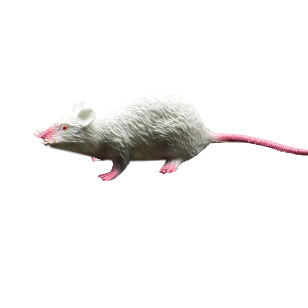 Faux Rat Réaliste Effrayant - Jouet Farce Halloween