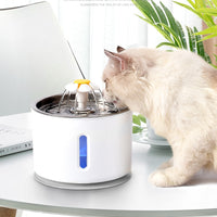 Fontaine à eau électrique pour chien et chat avec affichage LED