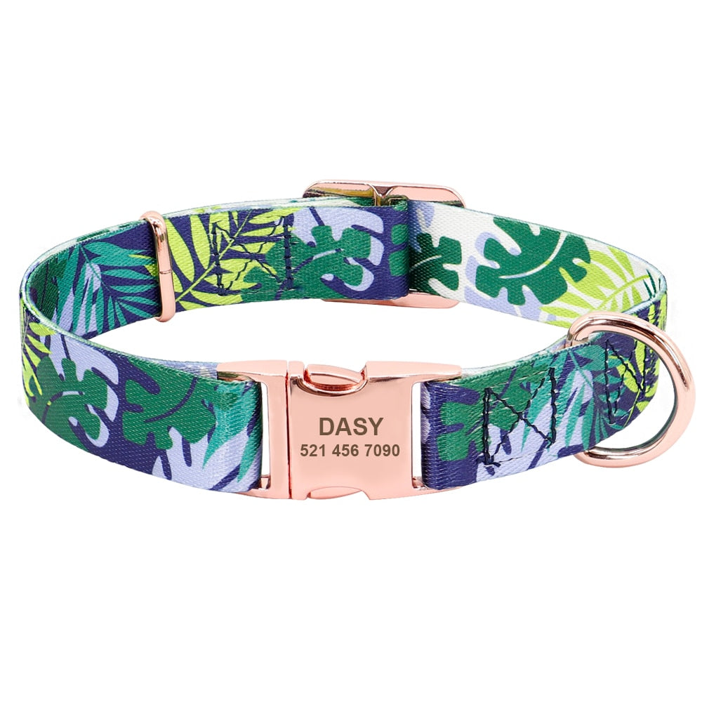 Collier nylon personnalisé avec plaque gravée pour chien et chat