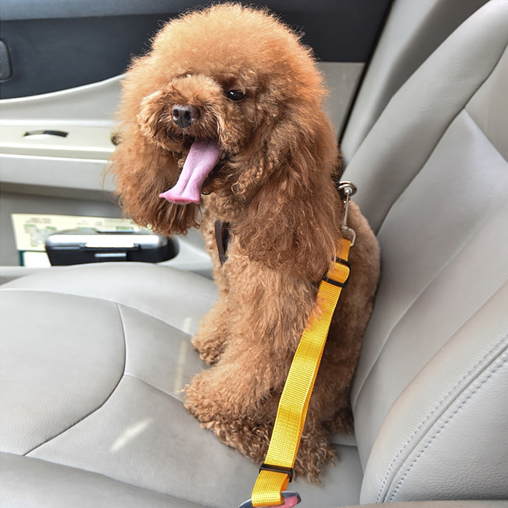 Ceinture de sécurité réglable pour chien en voiture – Laisse harnais