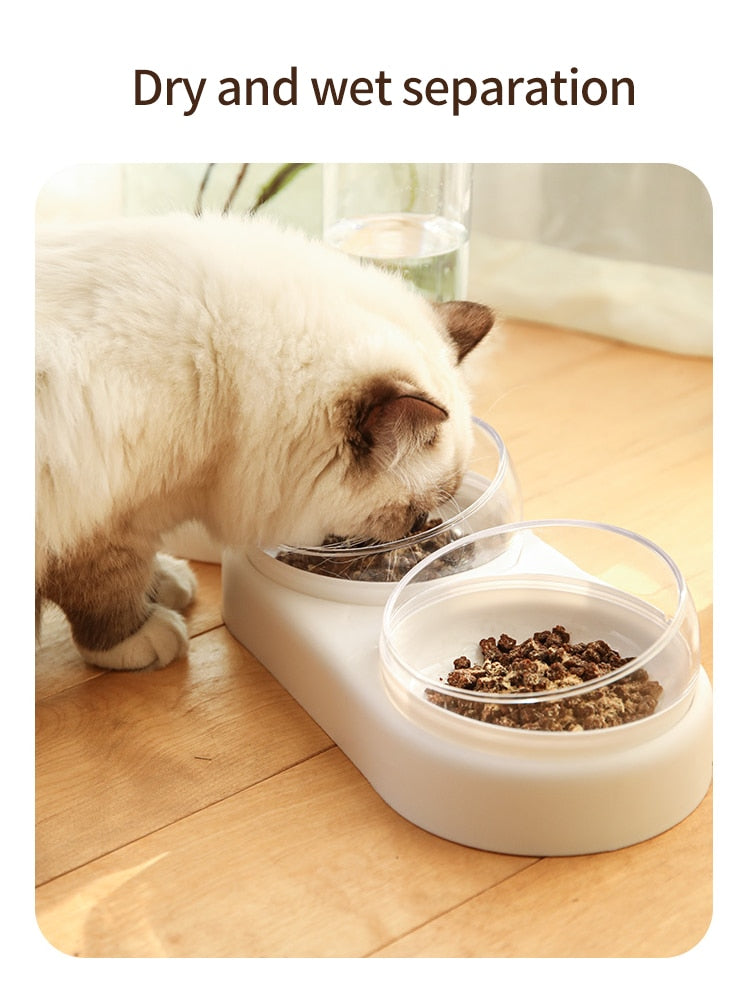 Gamelle double automatique pour chat et chien avec fontaine à eau
