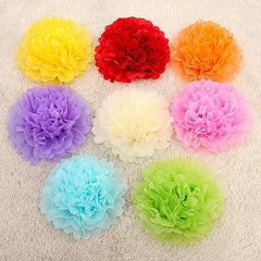 Pompons en papier de soie multicolores 10/15/20 cm – Décoration fête