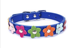 Collier et laisse fleuris en cuir PU pour chien et chat – Toutes tailles