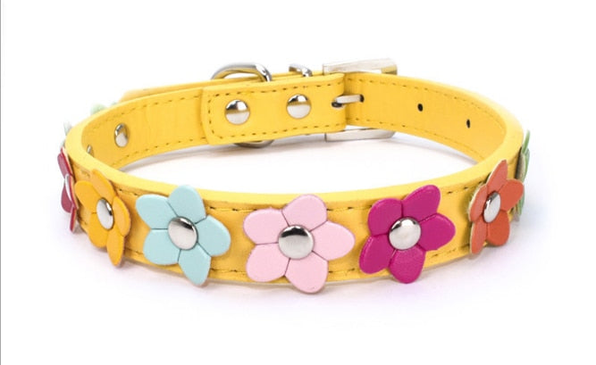 Collier et laisse fleuris en cuir PU pour chien et chat – Toutes tailles