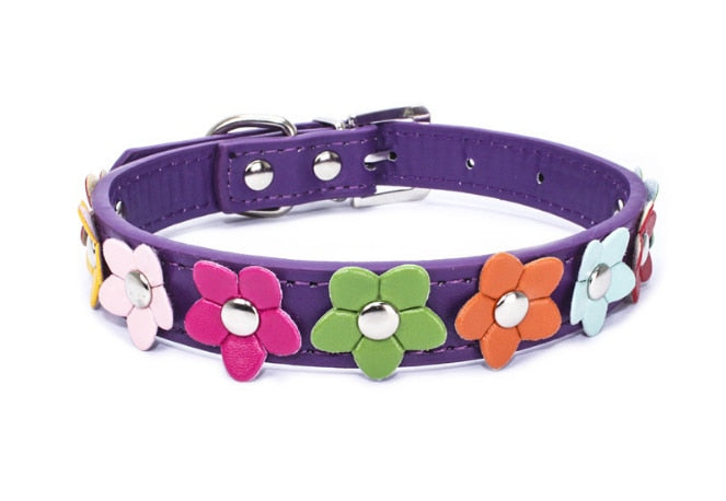 Collier et laisse fleuris en cuir PU pour chien et chat – Toutes tailles