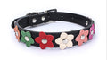 Collier et Laisse Fleuris Cuir PU - Chien et Chat