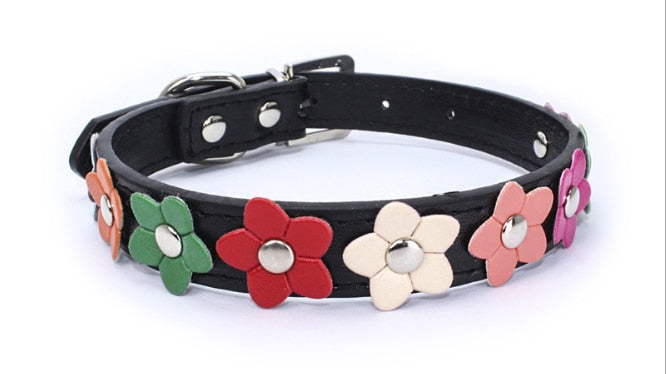 Collier et laisse fleuris en cuir PU pour chien et chat – Toutes tailles