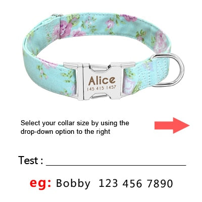 Collier nylon personnalisé avec plaque gravée pour chien et chat