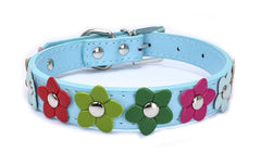 Collier et laisse fleuris en cuir PU pour chien et chat – Toutes tailles