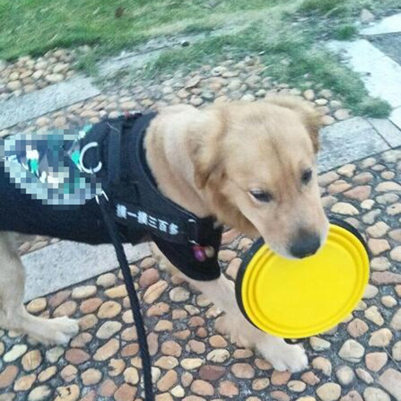 Gamelle pliable en silicone 1000 ml pour chien – Voyage et outdoor