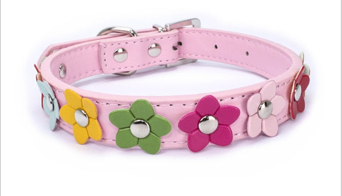 Collier et laisse fleuris en cuir PU pour chien et chat – Toutes tailles