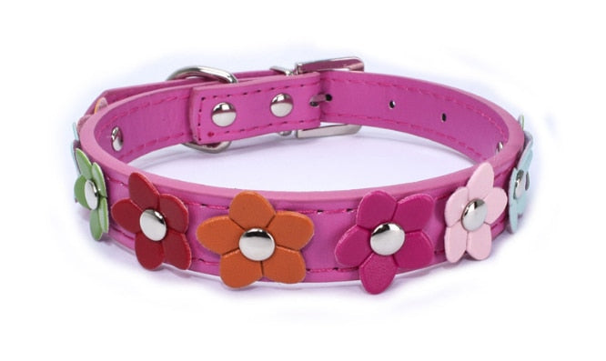 Collier et laisse fleuris en cuir PU pour chien et chat – Toutes tailles
