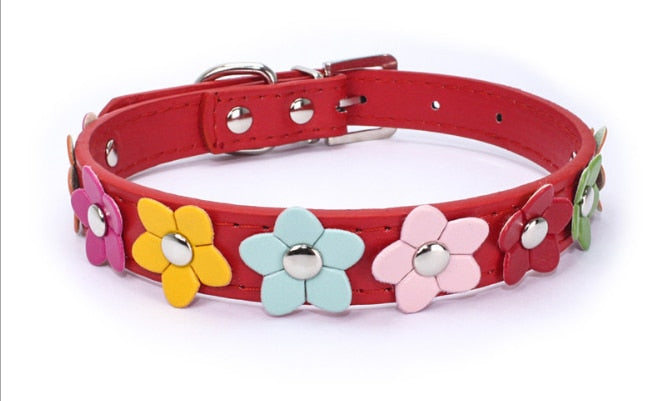 Collier et laisse fleuris en cuir PU pour chien et chat – Toutes tailles