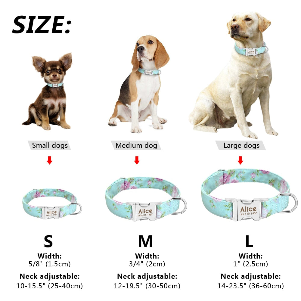 Collier Chien Chat Gravé - Plaque Personnalisée Nylon