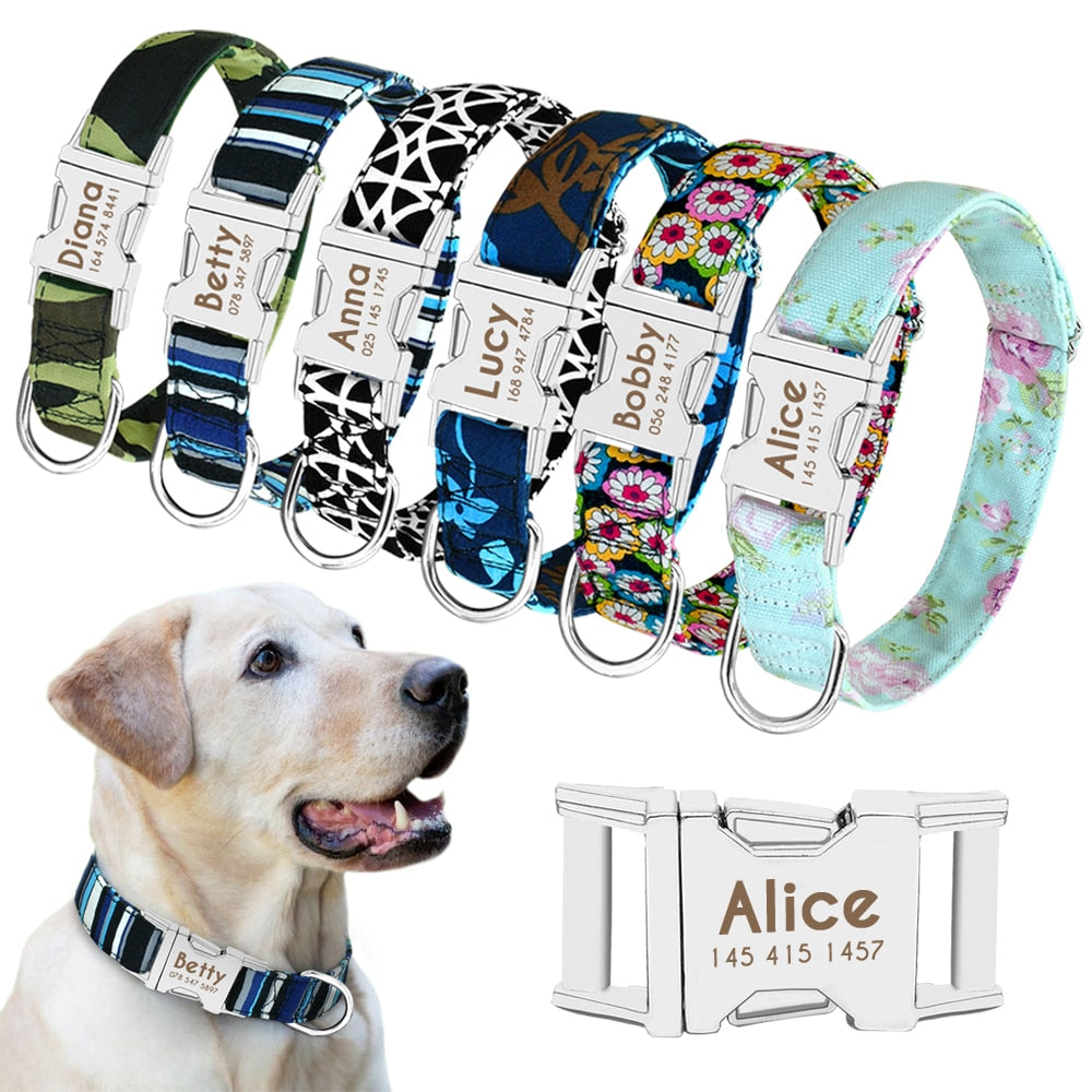 Collier nylon personnalisé avec plaque gravée pour chien et chat