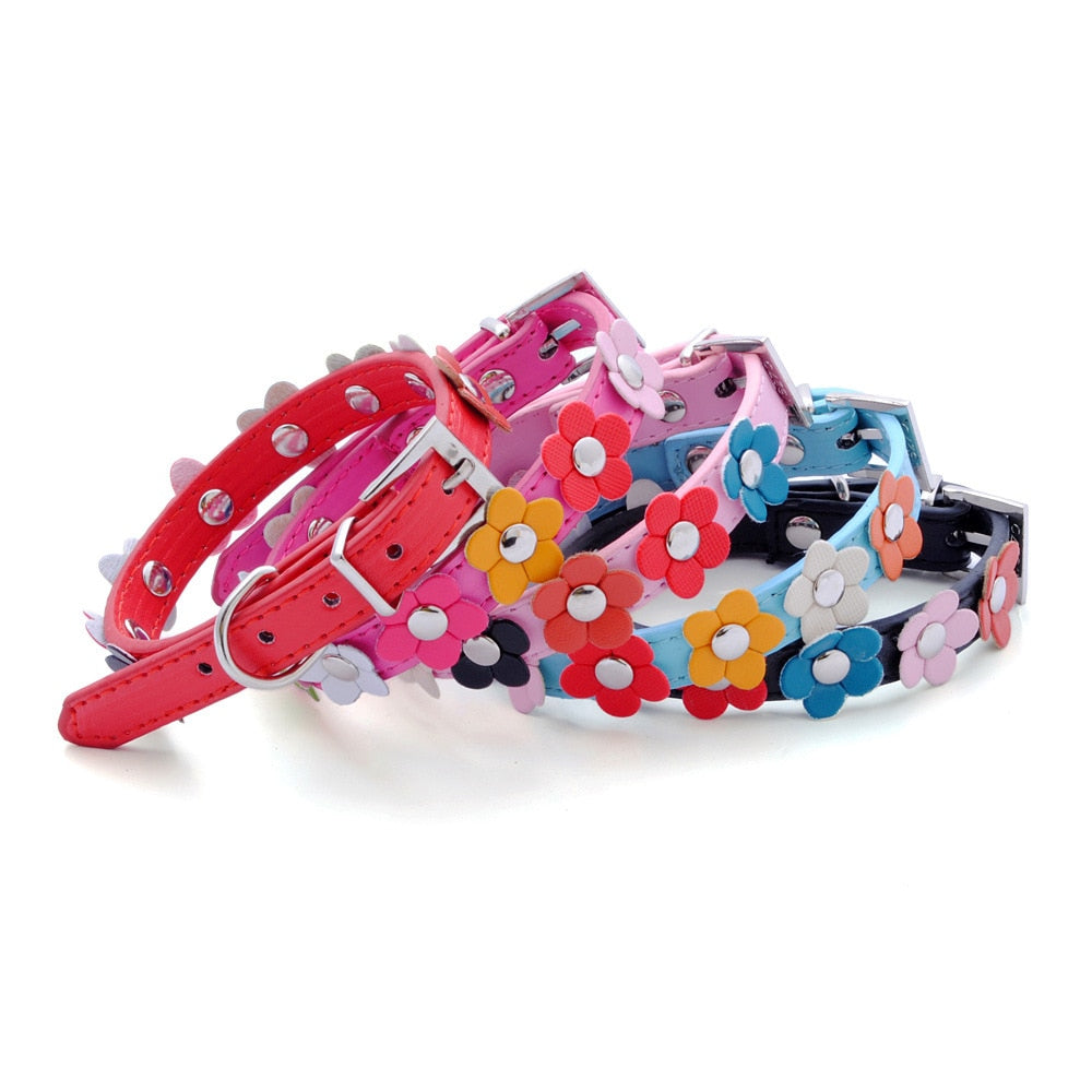 Collier et Laisse Fleuris Cuir PU - Chien et Chat
