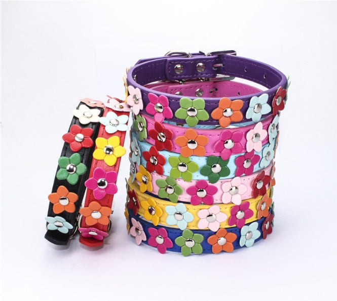 Collier et Laisse Fleuris Cuir PU - Chien et Chat