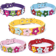 Collier et laisse fleuris en cuir PU pour chien et chat – Toutes tailles