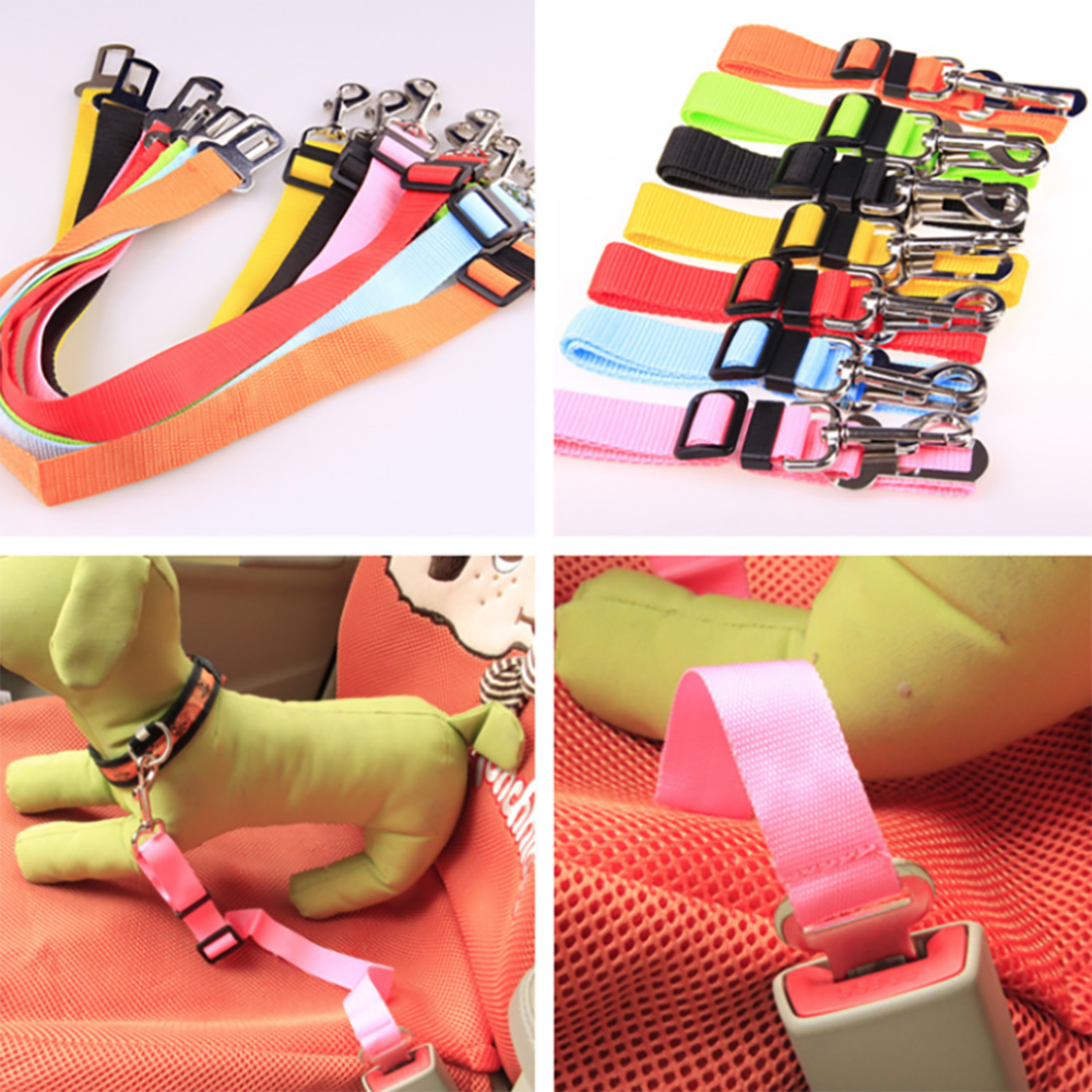 Ceinture Sécurité Voiture pour Chien - Harnais