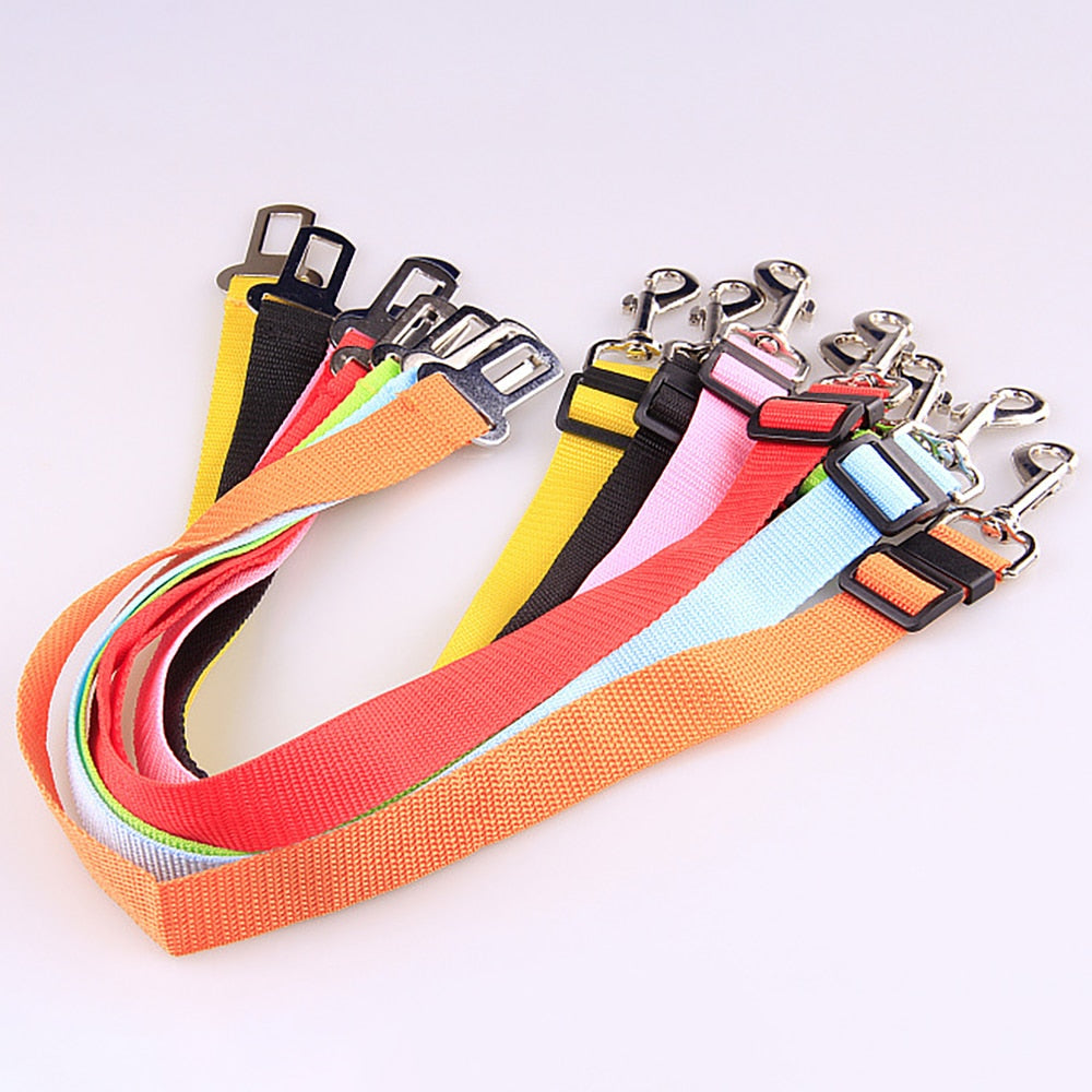 Ceinture Sécurité Voiture pour Chien - Harnais