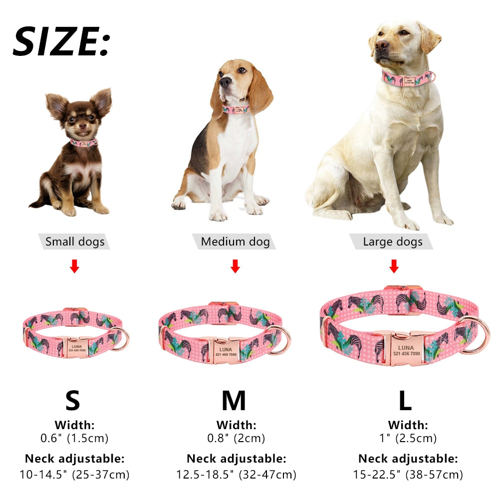 Collier Chien Chat Gravé - Plaque Personnalisée Nylon 2