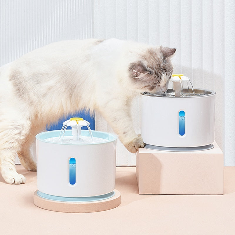 Fontaine à eau électrique pour chien et chat avec affichage LED