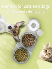 Gamelle double automatique pour chat et chien avec fontaine à eau